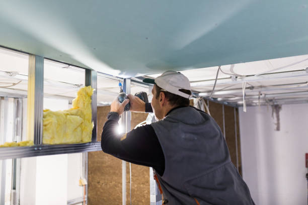 Insulation Replacement Services in Brandenburg, KY
